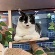 ヒメ日記 2026/01/28 12:43 投稿 おりえ 高級エステ セラピスト