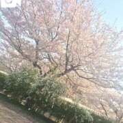 ヒメ日記 2026/03/27 17:13 投稿 おりえ 高級エステ セラピスト