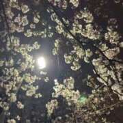 ヒメ日記 2026/04/13 00:03 投稿 おりえ 高級エステ セラピスト