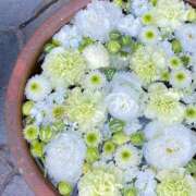 ヒメ日記 2025/01/11 17:32 投稿 真里香（まりか） あなたの妻