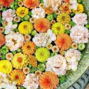 ヒメ日記 2025/02/19 16:06 投稿 真里香（まりか） あなたの妻