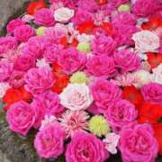 ヒメ日記 2025/04/01 19:19 投稿 真里香（まりか） あなたの妻