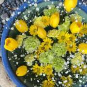 ヒメ日記 2025/05/22 19:01 投稿 真里香（まりか） あなたの妻