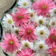 ヒメ日記 2025/08/23 17:56 投稿 真里香（まりか） あなたの妻