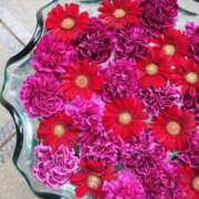 ヒメ日記 2025/09/20 17:33 投稿 真里香（まりか） あなたの妻