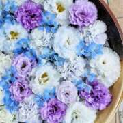 ヒメ日記 2025/11/01 17:52 投稿 真里香（まりか） あなたの妻