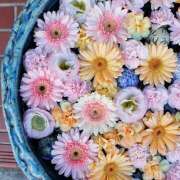 ヒメ日記 2025/11/07 17:24 投稿 真里香（まりか） あなたの妻