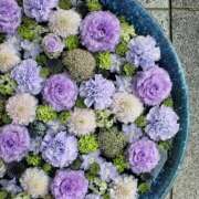 ヒメ日記 2025/11/13 22:40 投稿 真里香（まりか） あなたの妻