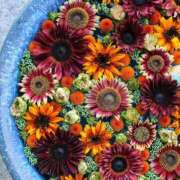 ヒメ日記 2025/11/15 19:32 投稿 真里香（まりか） あなたの妻