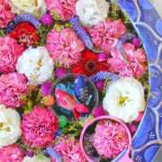 ヒメ日記 2025/11/19 17:40 投稿 真里香（まりか） あなたの妻