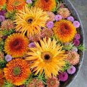 ヒメ日記 2026/02/04 18:09 投稿 真里香（まりか） あなたの妻