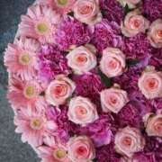 ヒメ日記 2026/02/11 16:27 投稿 真里香（まりか） あなたの妻