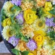 ヒメ日記 2026/02/21 17:58 投稿 真里香（まりか） あなたの妻