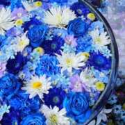 ヒメ日記 2026/03/05 17:30 投稿 真里香（まりか） あなたの妻