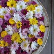 ヒメ日記 2026/04/01 21:49 投稿 真里香（まりか） あなたの妻