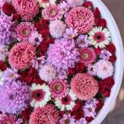 ヒメ日記 2026/04/25 19:23 投稿 真里香（まりか） あなたの妻