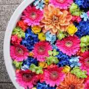 ヒメ日記 2026/04/29 17:50 投稿 真里香（まりか） あなたの妻