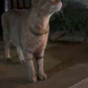 ヒメ日記 2025/07/27 18:25 投稿 WINK GINGIRA☆TOKYO～ギンギラ東京～