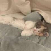 ヒメ日記 2025/09/13 17:54 投稿 WINK GINGIRA☆TOKYO～ギンギラ東京～