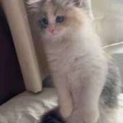 ヒメ日記 2025/10/21 18:24 投稿 WINK GINGIRA☆TOKYO～ギンギラ東京～