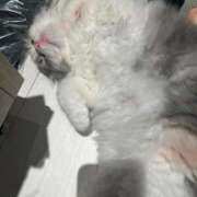 ヒメ日記 2025/10/27 21:57 投稿 WINK GINGIRA☆TOKYO～ギンギラ東京～