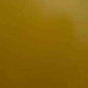 ヒメ日記 2025/11/23 15:39 投稿 WINK GINGIRA☆TOKYO～ギンギラ東京～