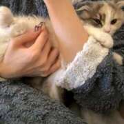 WINK 最近してないからよろ🥹✌️ GINGIRA☆TOKYO～ギンギラ東京～