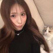 WINK なにしてるのーんあそぼ❣️ GINGIRA☆TOKYO～ギンギラ東京～