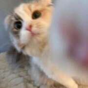 ヒメ日記 2026/01/30 12:57 投稿 WINK GINGIRA☆TOKYO～ギンギラ東京～