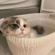 ヒメ日記 2026/02/03 16:04 投稿 WINK GINGIRA☆TOKYO～ギンギラ東京～