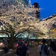 ヒメ日記 2026/04/08 12:35 投稿 WINK GINGIRA☆TOKYO～ギンギラ東京～