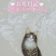 ヒメ日記 2024/12/11 11:46 投稿 ななこ 多恋人倶楽部（山口）