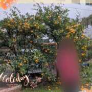 ヒメ日記 2025/01/21 22:29 投稿 ななこ 多恋人倶楽部（山口）