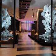 ヒメ日記 2025/03/20 23:13 投稿 ななこ 多恋人倶楽部（山口）