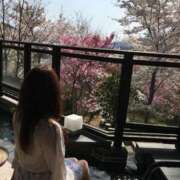 ヒメ日記 2025/04/03 12:18 投稿 ななこ 多恋人倶楽部（山口）