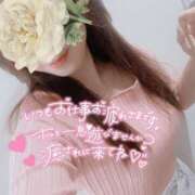 ヒメ日記 2025/04/05 11:08 投稿 ななこ 多恋人倶楽部（山口）