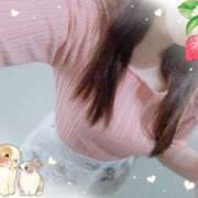 ヒメ日記 2025/04/05 13:36 投稿 ななこ 多恋人倶楽部（山口）