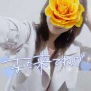 ヒメ日記 2025/04/05 15:51 投稿 ななこ 多恋人倶楽部（山口）