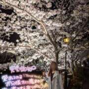 ヒメ日記 2025/04/06 17:46 投稿 ななこ 多恋人倶楽部（山口）