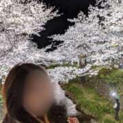 ヒメ日記 2025/04/10 18:12 投稿 ななこ 多恋人倶楽部（山口）