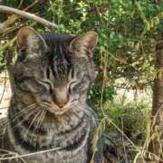 ヒメ日記 2025/05/07 21:16 投稿 ななこ 多恋人倶楽部（山口）