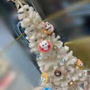 ヒメ日記 2025/12/25 18:15 投稿 まひる コスパラ