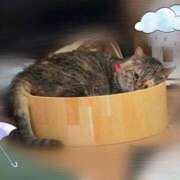 ヒメ日記 2025/06/03 17:22 投稿 青山あかり CLUB39（クラブサンキュー）