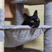 ヒメ日記 2025/07/02 11:52 投稿 青山あかり CLUB39（クラブサンキュー）