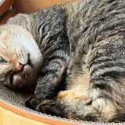 ヒメ日記 2025/09/20 15:52 投稿 青山あかり CLUB39（クラブサンキュー）