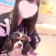 西谷みるく 出勤したよ♪ JKリフレ東京 秋葉原本店