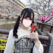 ヒメ日記 2026/04/02 14:30 投稿 西谷みるく JKリフレ東京 秋葉原本店