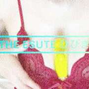 ヒメ日記 2025/05/20 07:40 投稿 ひびき THE ESUTE 五反田店