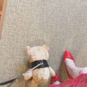 ヒメ日記 2026/03/05 07:20 投稿 ひびき THE ESUTE 五反田店