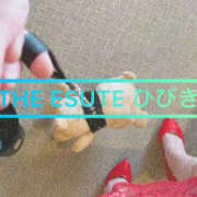 ヒメ日記 2026/10/23 07:10 投稿 ひびき THE ESUTE 五反田店